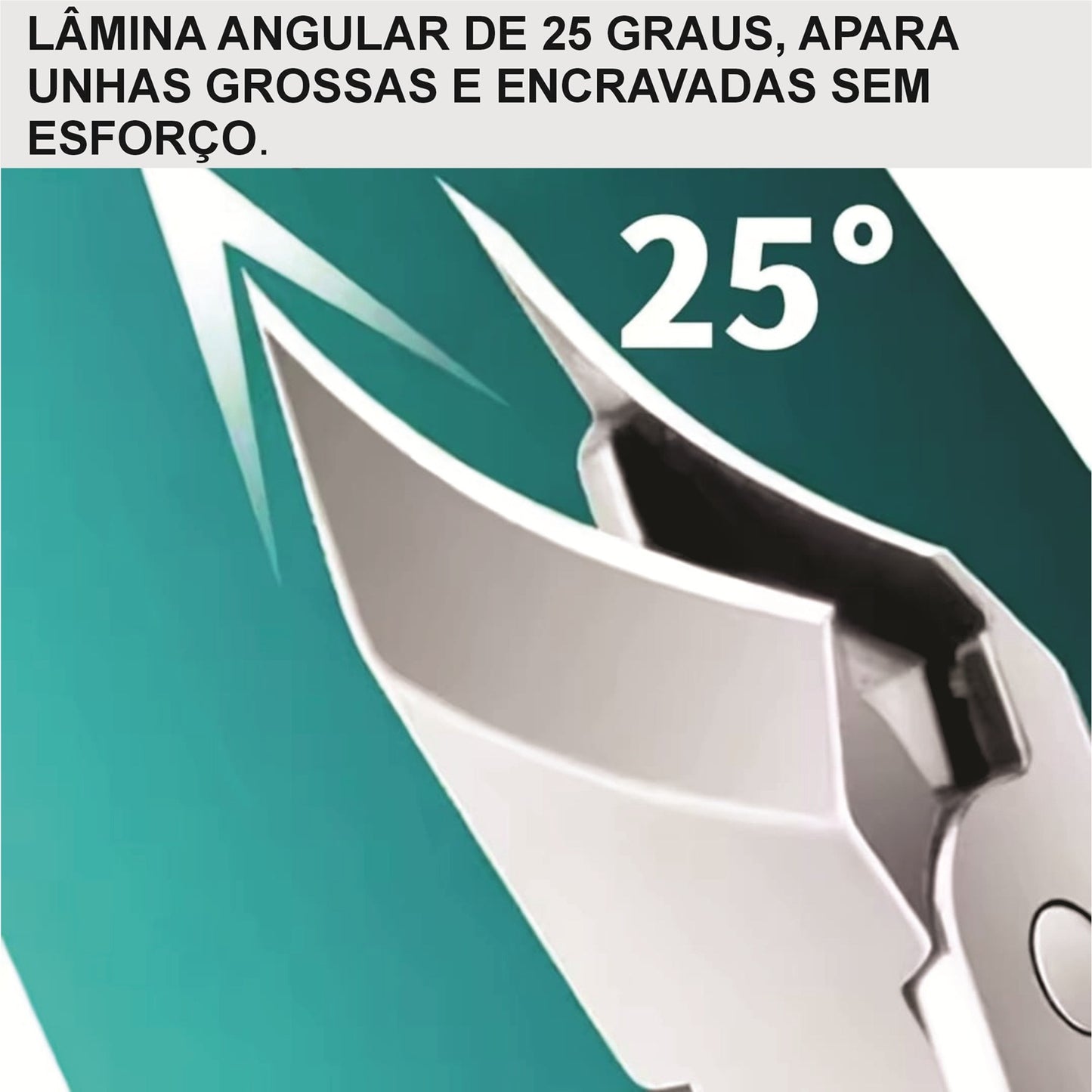 Cortador de Unha Profissional em Aço Inox